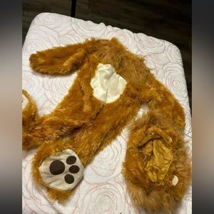 baby lion costume